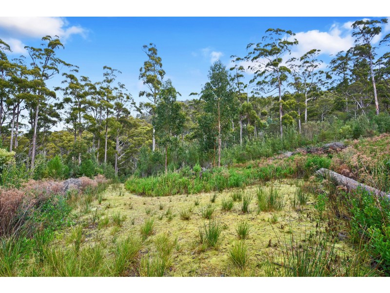 21 Lyndal Drive, Eaglehawk Neck TAS 7179
