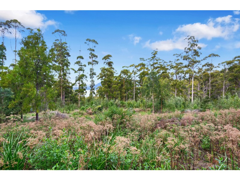 21 Lyndal Drive, Eaglehawk Neck TAS 7179