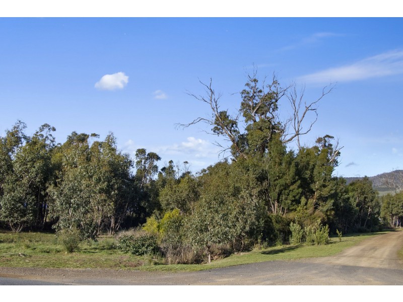 59 Arthur Highway, Dunalley TAS 7177