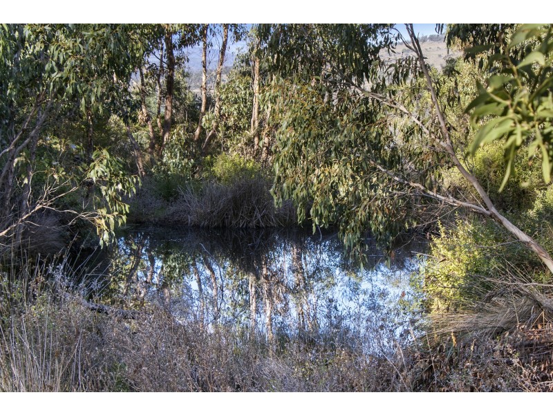 59 Arthur Highway, Dunalley TAS 7177