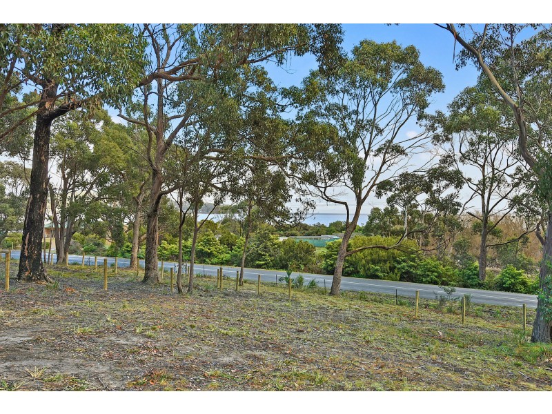 Lot 1-3 White Beach Road, White Beach TAS 7184