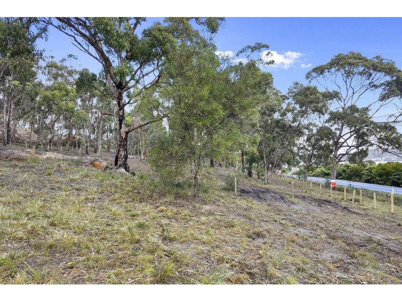Lot 1-3 White Beach Road, White Beach TAS 7184