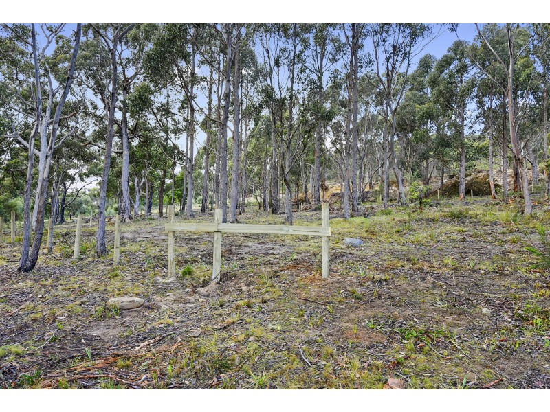 Lot 1-3 White Beach Road, White Beach TAS 7184