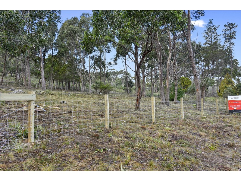 Lot 1-3 White Beach Road, White Beach TAS 7184