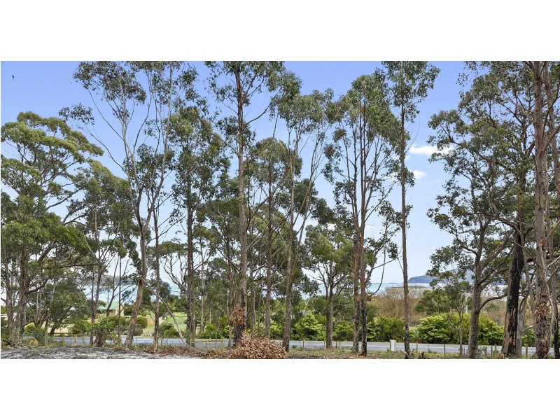 Lot 1-3 White Beach Road, White Beach TAS 7184