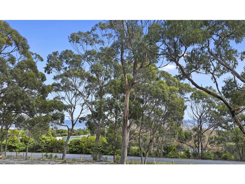 Lot 1-3 White Beach Road, White Beach TAS 7184