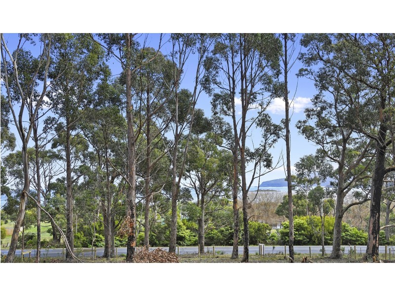 Lot 1-3 White Beach Road, White Beach TAS 7184
