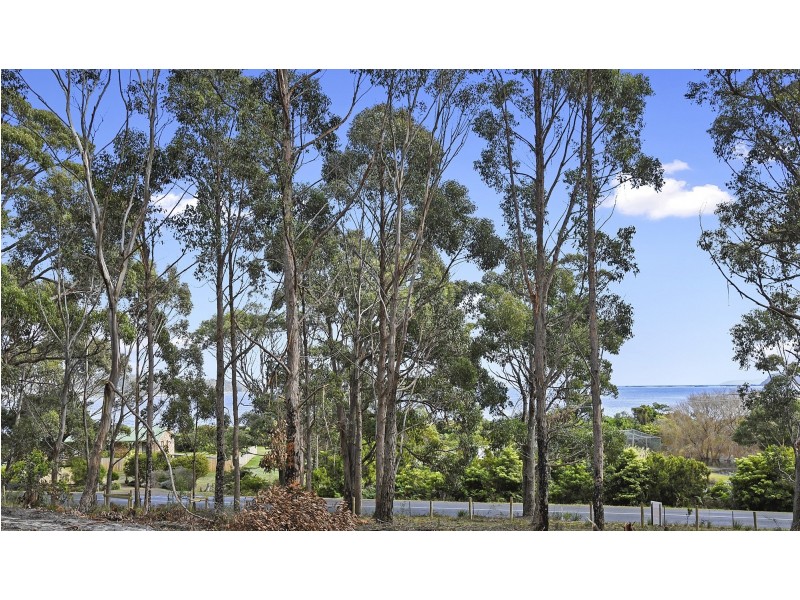 Lot 1-3 White Beach Road, White Beach TAS 7184