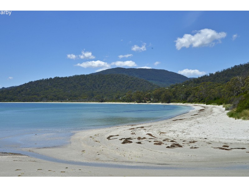 Lot 1-3 White Beach Road, White Beach TAS 7184