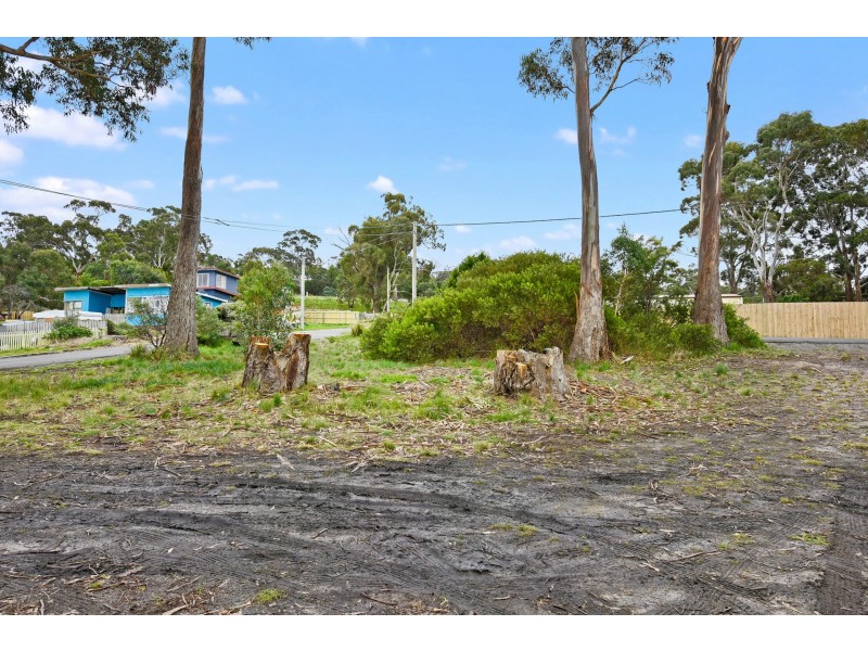 20 Boobyalla Street, Primrose Sands TAS 7173
