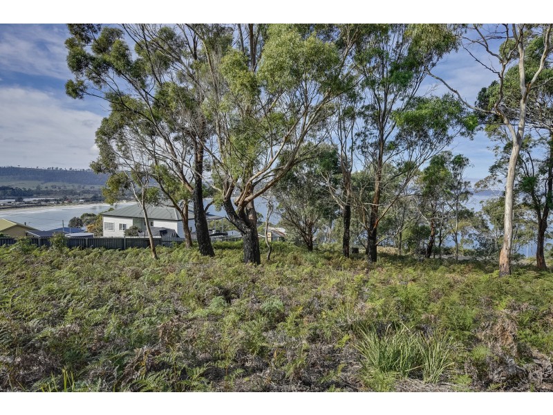 2 Tern Circle, Primrose Sands TAS 7173