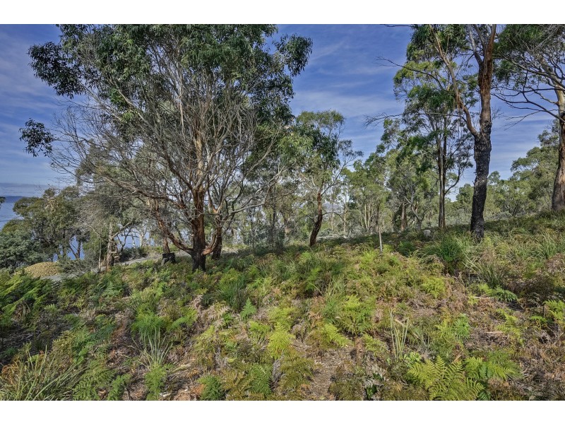 2 Tern Circle, Primrose Sands TAS 7173