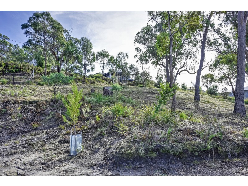 Lot 1 Tern Circle, Primrose Sands TAS 7173