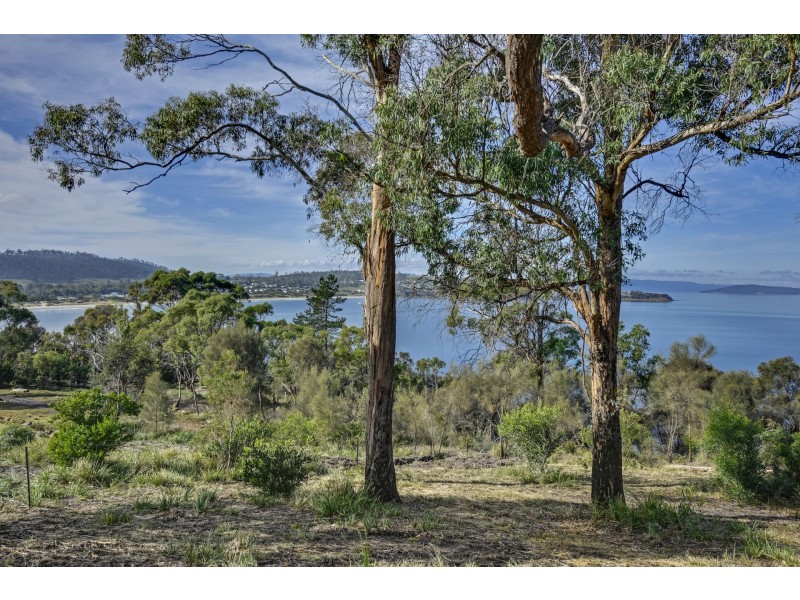 Lot 1 Tern Circle, Primrose Sands TAS 7173