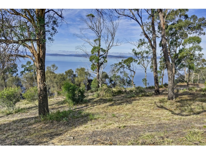 Lot 1 Tern Circle, Primrose Sands TAS 7173