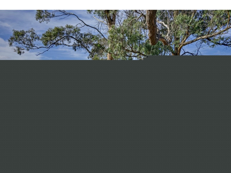 Lot 1 Tern Circle, Primrose Sands TAS 7173