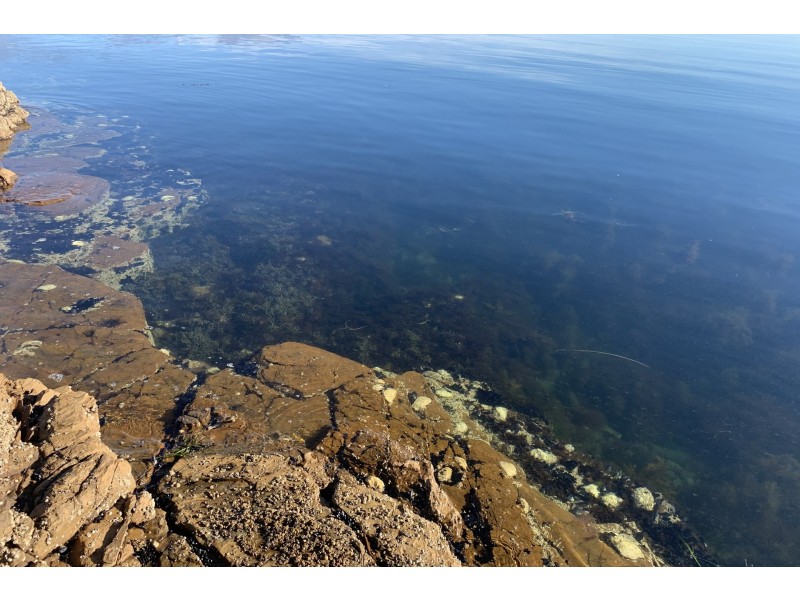 115 Sympathy Point Road, Taranna TAS 7180