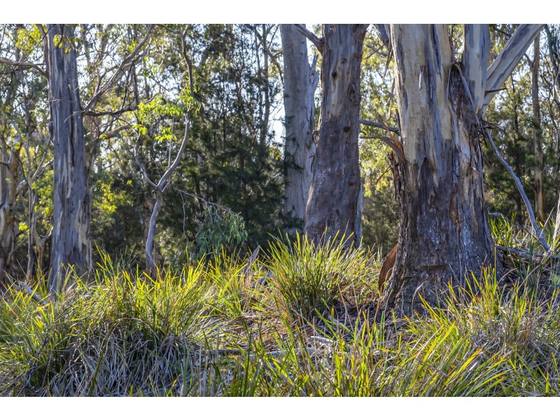 113 Sympathy Point Road, Taranna TAS 7180