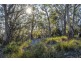 113 Sympathy Point Road, Taranna TAS 7180