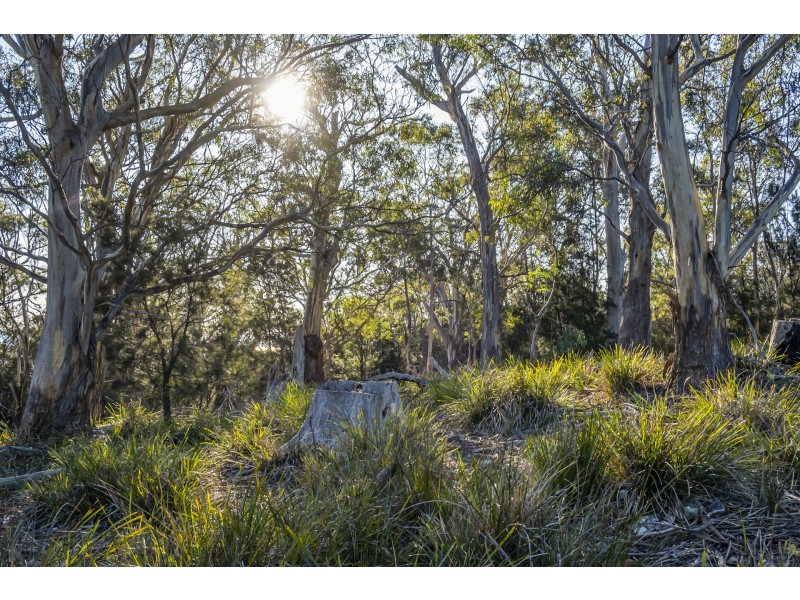 113 Sympathy Point Road, Taranna TAS 7180