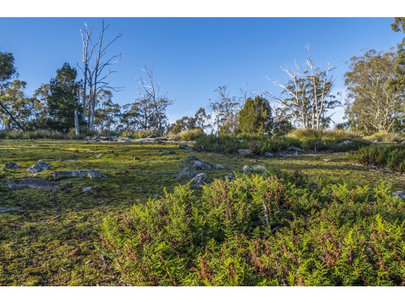 113 Sympathy Point Road, Taranna TAS 7180