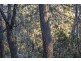 113 Sympathy Point Road, Taranna TAS 7180