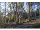 113 Sympathy Point Road, Taranna TAS 7180