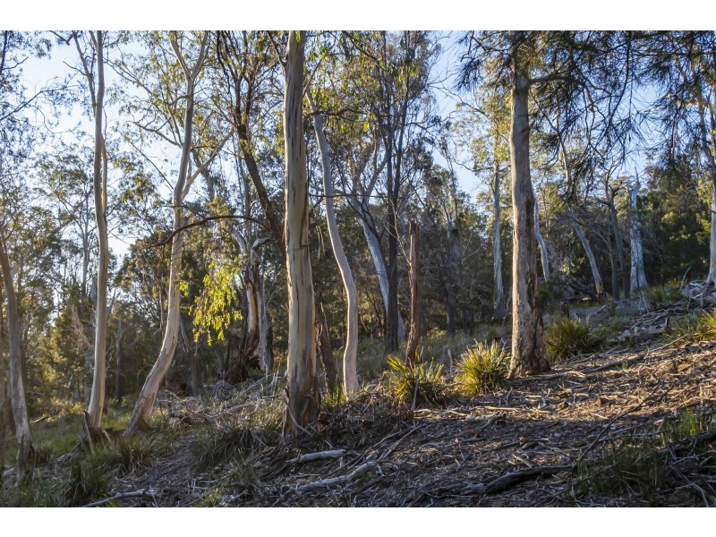 113 Sympathy Point Road, Taranna TAS 7180