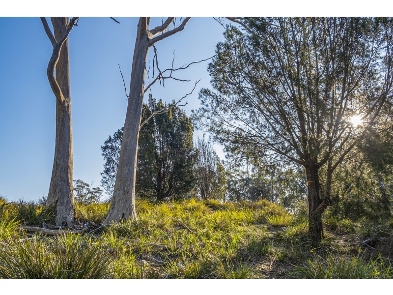 113 Sympathy Point Road, Taranna TAS 7180