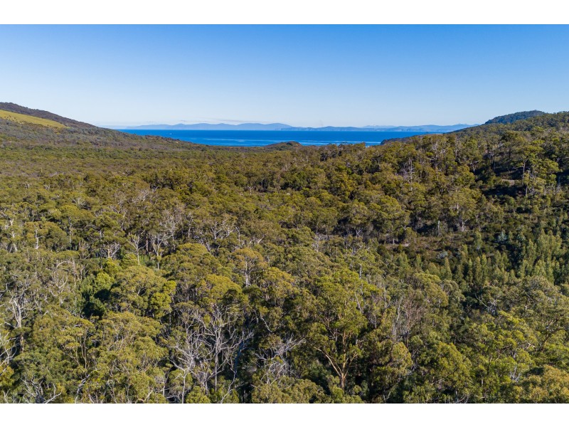 Lot 1 A Roaring Beach Road, Nubeena TAS 7184