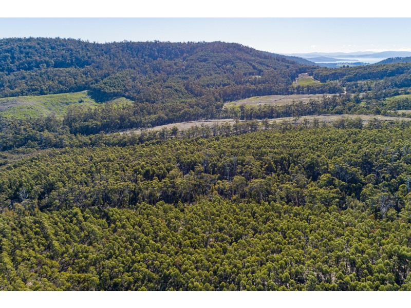 Lot 1 A Roaring Beach Road, Nubeena TAS 7184