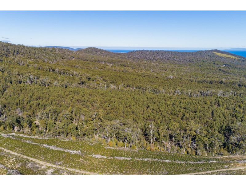 Lot 1 A Roaring Beach Road, Nubeena TAS 7184
