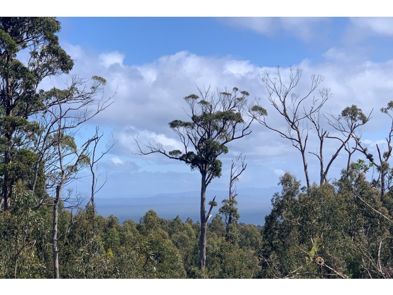 Lot 1 A Roaring Beach Road, Nubeena TAS 7184