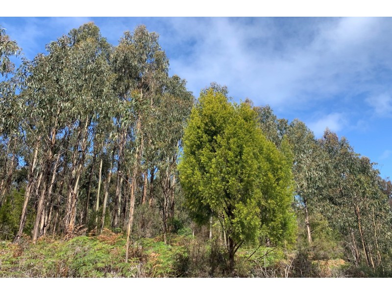 Lot 1 A Roaring Beach Road, Nubeena TAS 7184