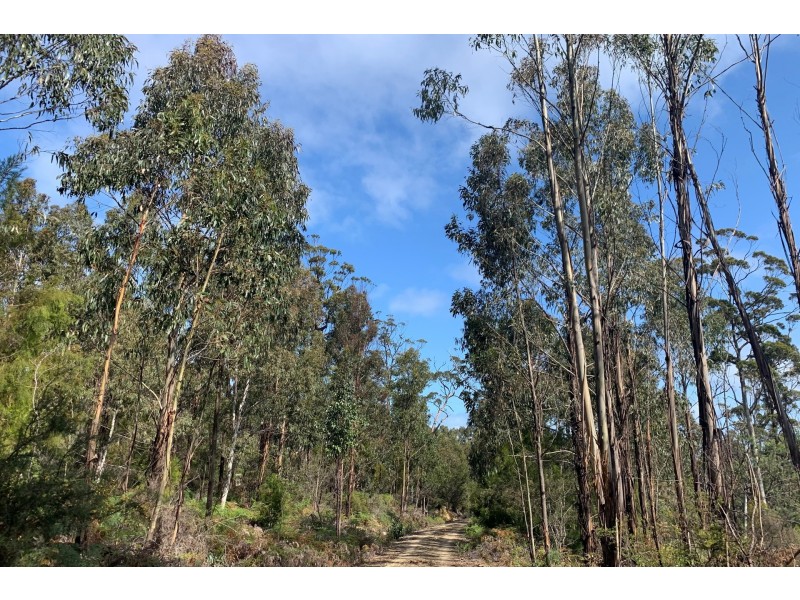 Lot 1 A Roaring Beach Road, Nubeena TAS 7184