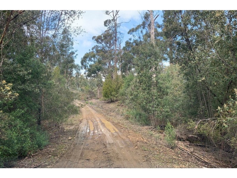 Lot 1 A Roaring Beach Road, Nubeena TAS 7184
