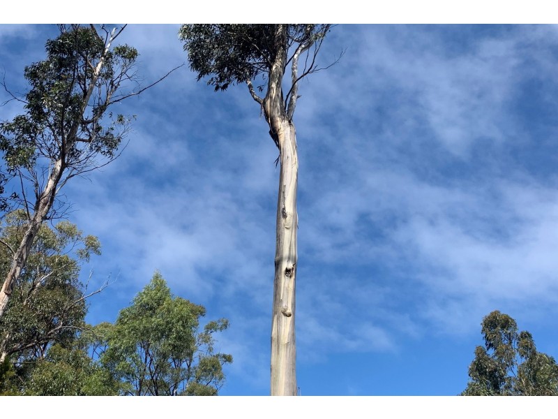 Lot 1 A Roaring Beach Road, Nubeena TAS 7184