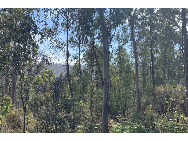 Lot 1 A Roaring Beach Road, Nubeena TAS 7184