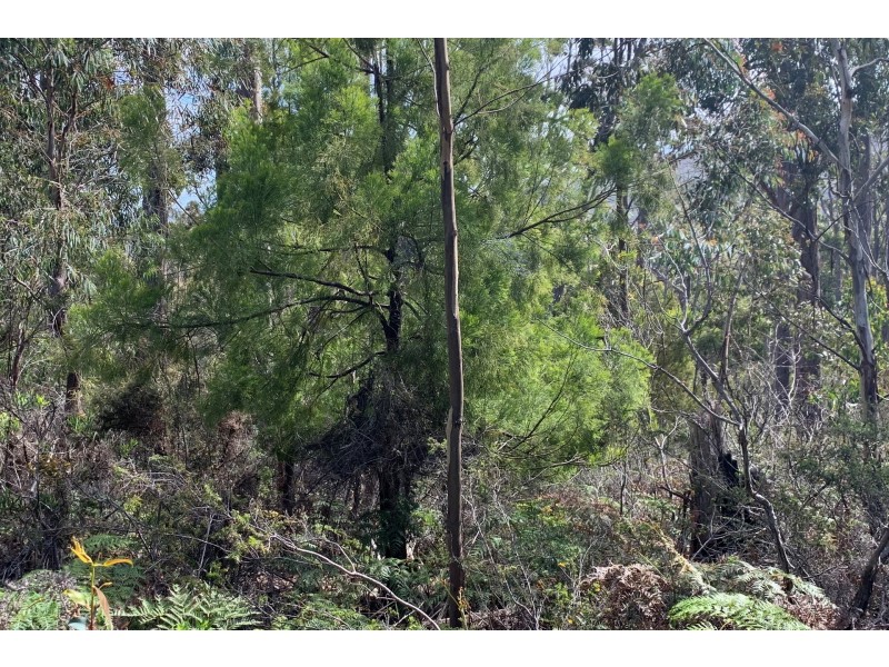 Lot 1 A Roaring Beach Road, Nubeena TAS 7184