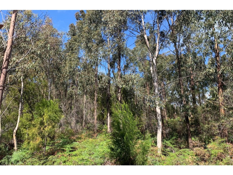 Lot 1 A Roaring Beach Road, Nubeena TAS 7184
