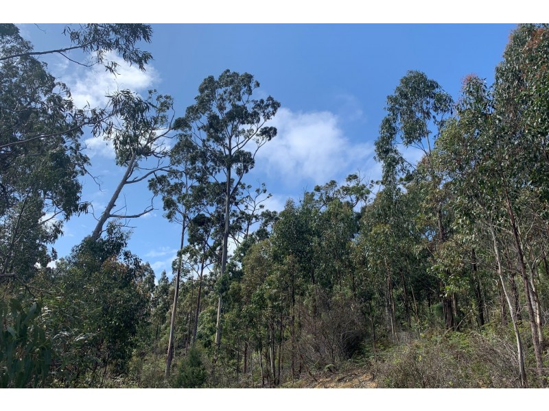 Lot 1 A Roaring Beach Road, Nubeena TAS 7184
