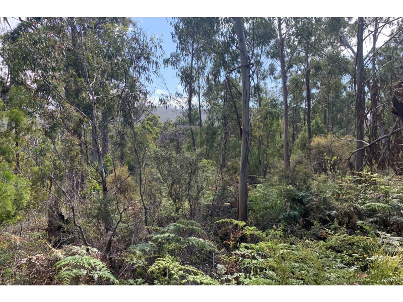 Lot 1 A Roaring Beach Road, Nubeena TAS 7184