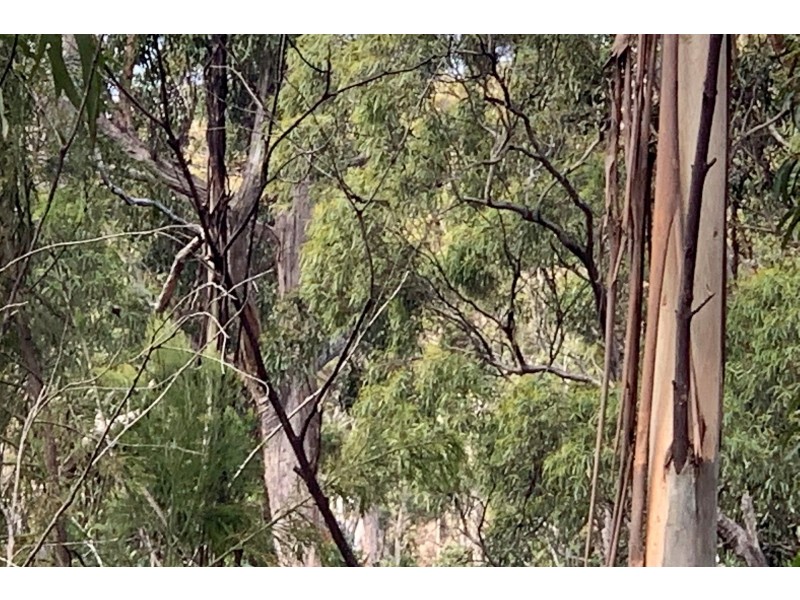 Lot 1 A Roaring Beach Road, Nubeena TAS 7184