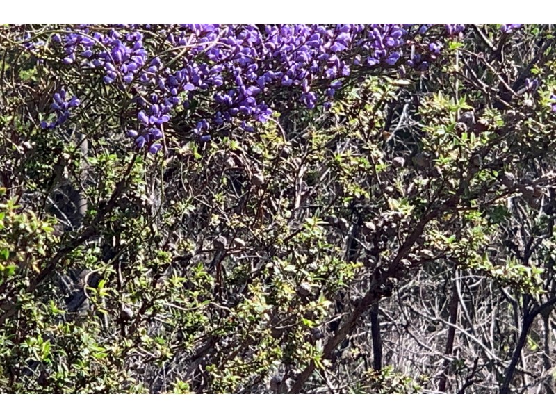 Lot 1 A Roaring Beach Road, Nubeena TAS 7184