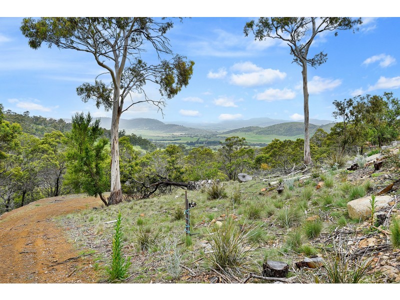 186 George Street, Dulcot TAS 7025