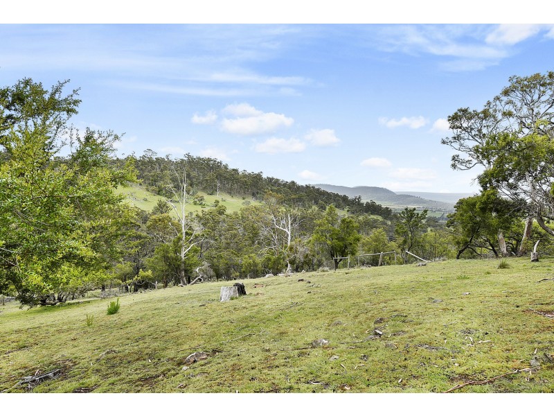 186 George Street, Dulcot TAS 7025