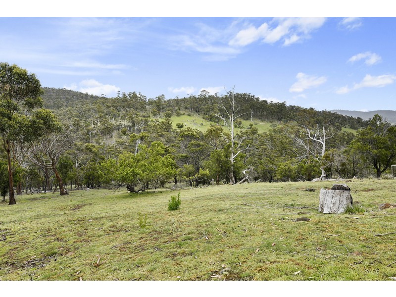 186 George Street, Dulcot TAS 7025