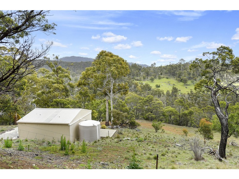 186 George Street, Dulcot TAS 7025