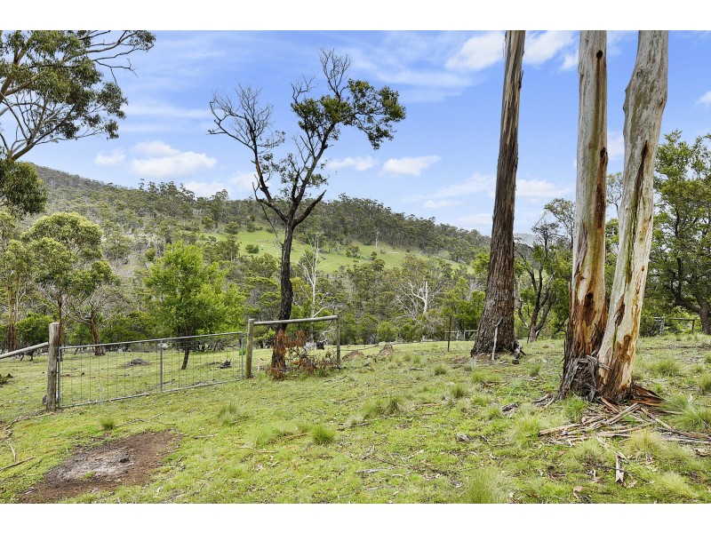 186 George Street, Dulcot TAS 7025