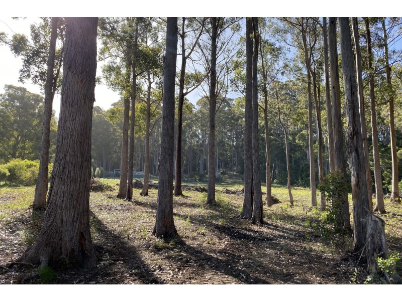 6770 Arthur Highway, Port Arthur TAS 7182